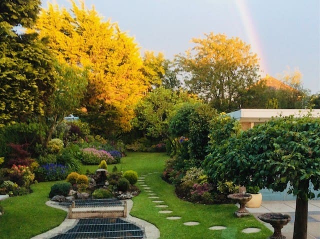 Sylvia's garden in the sunset